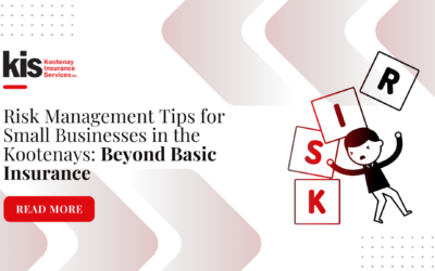 Risk Management Tips for Small Businesses in the Kootenays: Beyond Basic Insurance
